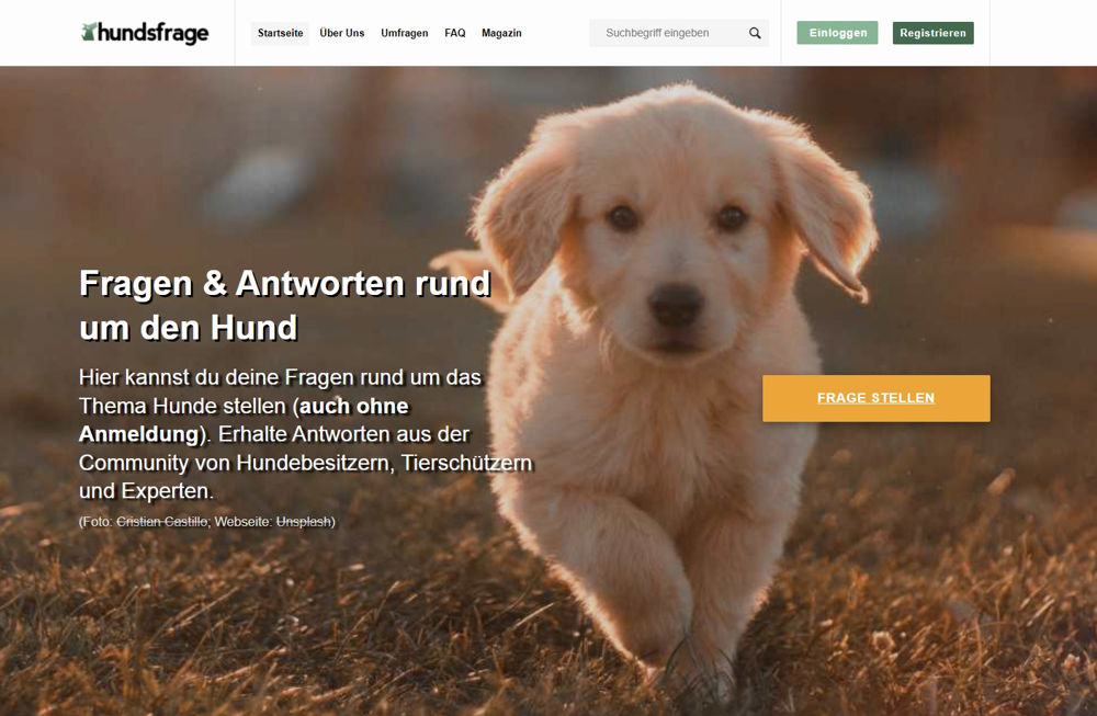 Webdesign Hannover: Hundsfrage.de Startseite